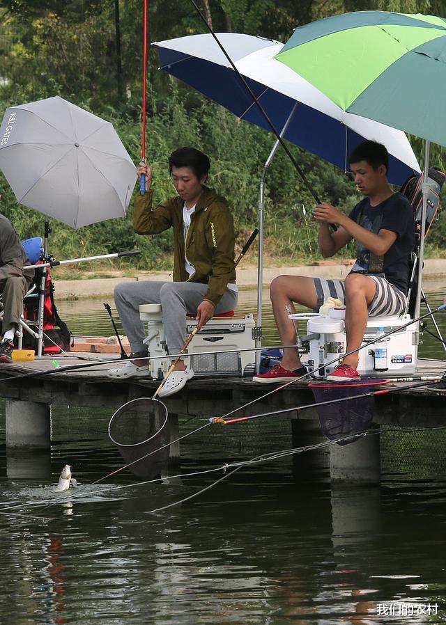 |想要有好的鱼获，细节很重要，子线选配有讲究，不能胡乱搭配