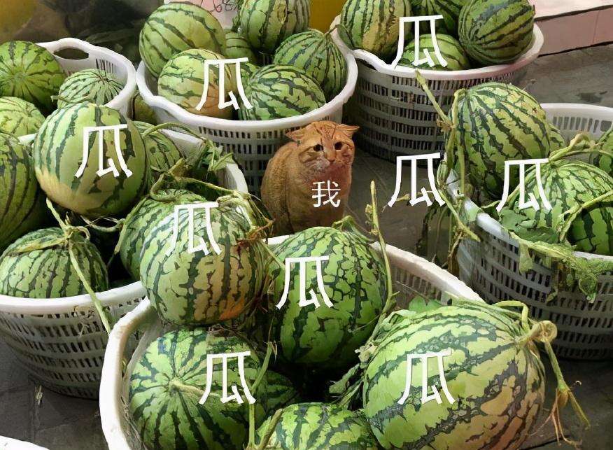 娱乐圈|2021年娱乐圈大瓜,三顶流一朝踏错毁终身,两歌手意乱情迷成笑谈