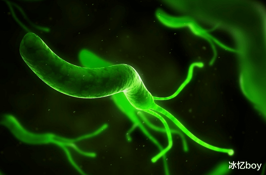 苹果|养胃“冠军”已现身,平时敞开吃,帮助呵护肠胃,口臭消失无影踪