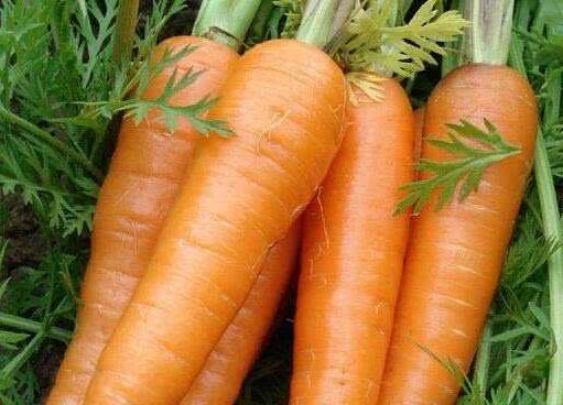 通便|天然的“通便王”,便秘的人常吃,清肠通便又排毒,让你一身轻松