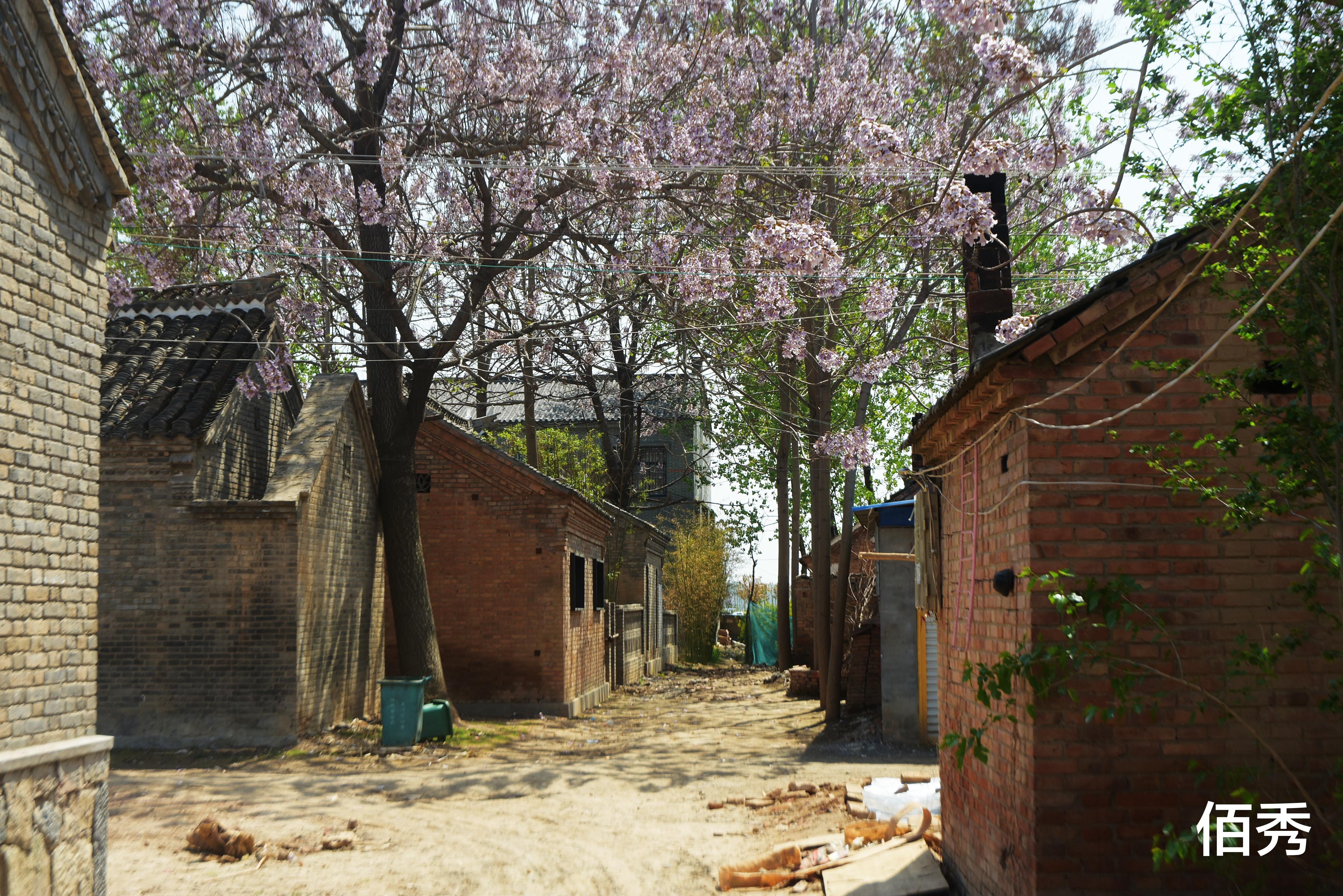 佰秀 城里人羡慕农村人，承包10亩地做农民，年挣10万元成“导火索”