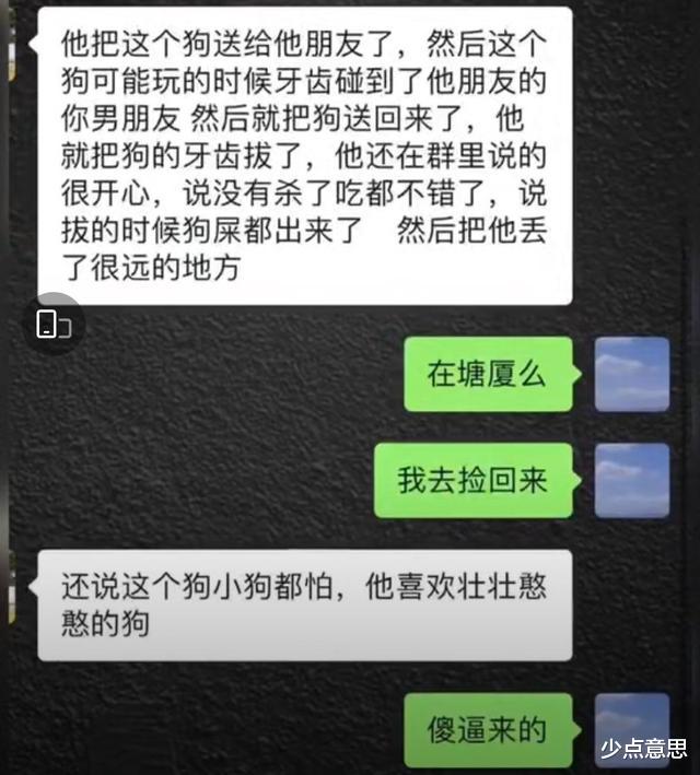 少点意思 广州：男子用铁钳活生生拔狗牙，小狗失血过多死亡，男子：“不狠怎么做主人”