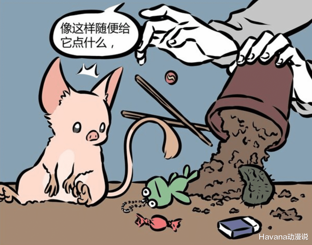 cp粉|非人哉：最早的九烈CP粉，号称烈烈最强僚机，还送九烈上过电视