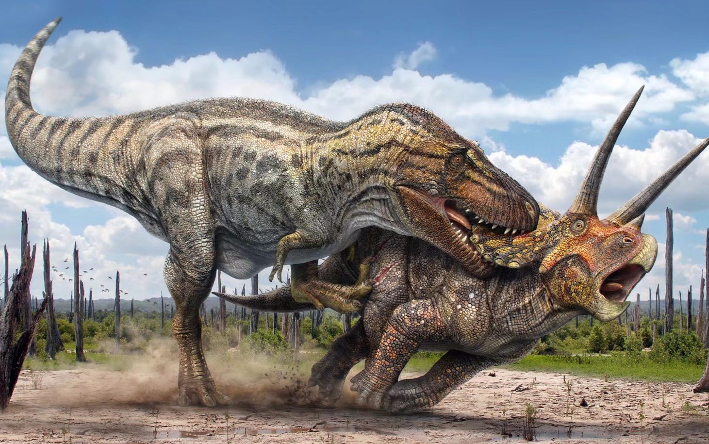 霸王龙 如果地球上突然出现了5000万只霸王龙，人类将遭遇什么灾难？