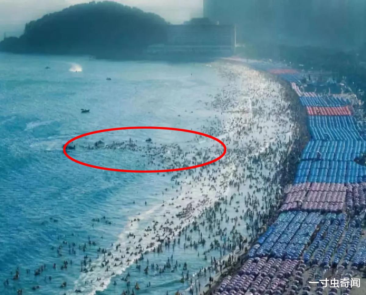 一寸虫奇闻|福建17人落水11人死亡,平静海面暗藏杀机?罪魁祸首或为离岸流