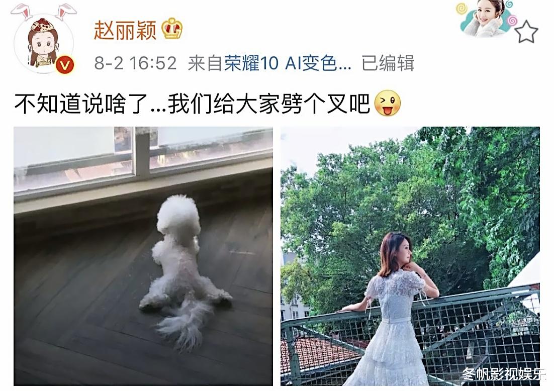 赵丽颖|赵丽颖有些方面一言难尽，同期的演员杨幂比她好多了？