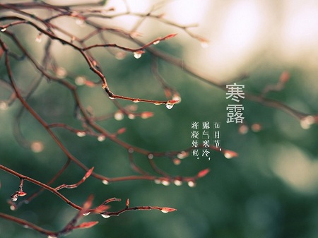 肉桂|寒露到了，秋凍正式開始！寒露艾灸正當時