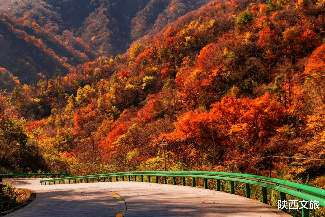 秦岭|为您奉上一条穿越秦岭的自驾线路，这里承包了秦岭99%的秋色盛宴