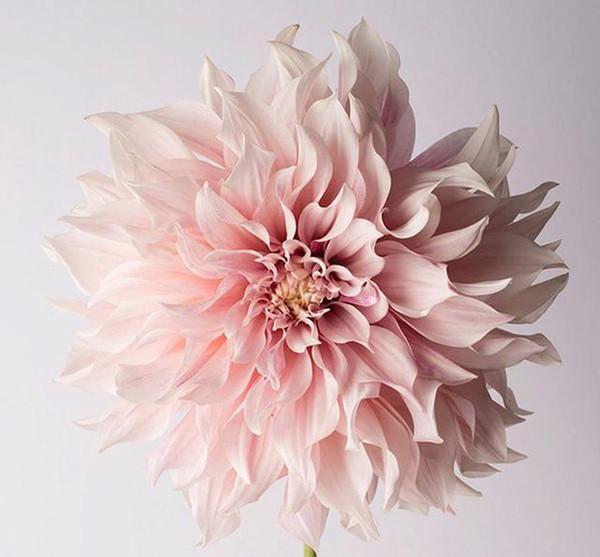 东鹤养生|痔疮是怎么来的？痔疮肉球怎么缓解？痔疮应以保守治疗为主！