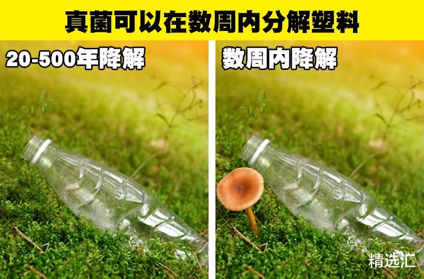 科学冷知识:你可能没有在生物课上学过的9个有趣事实