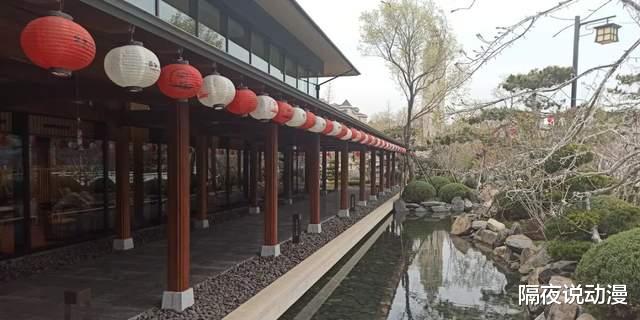 镰仓|《灌篮高手》里的“镰仓”，居然在国内遍地开花？年轻人争相打卡
