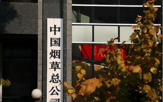 上海市|中国烟草系统招聘，学历要求放宽至“专科”，计划招录338人