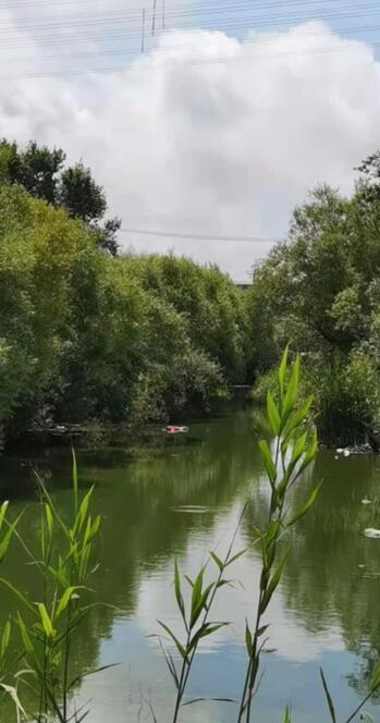 大连|大连90后女孩凌晨离家“神秘失踪”,两天后传来消息令人痛心!