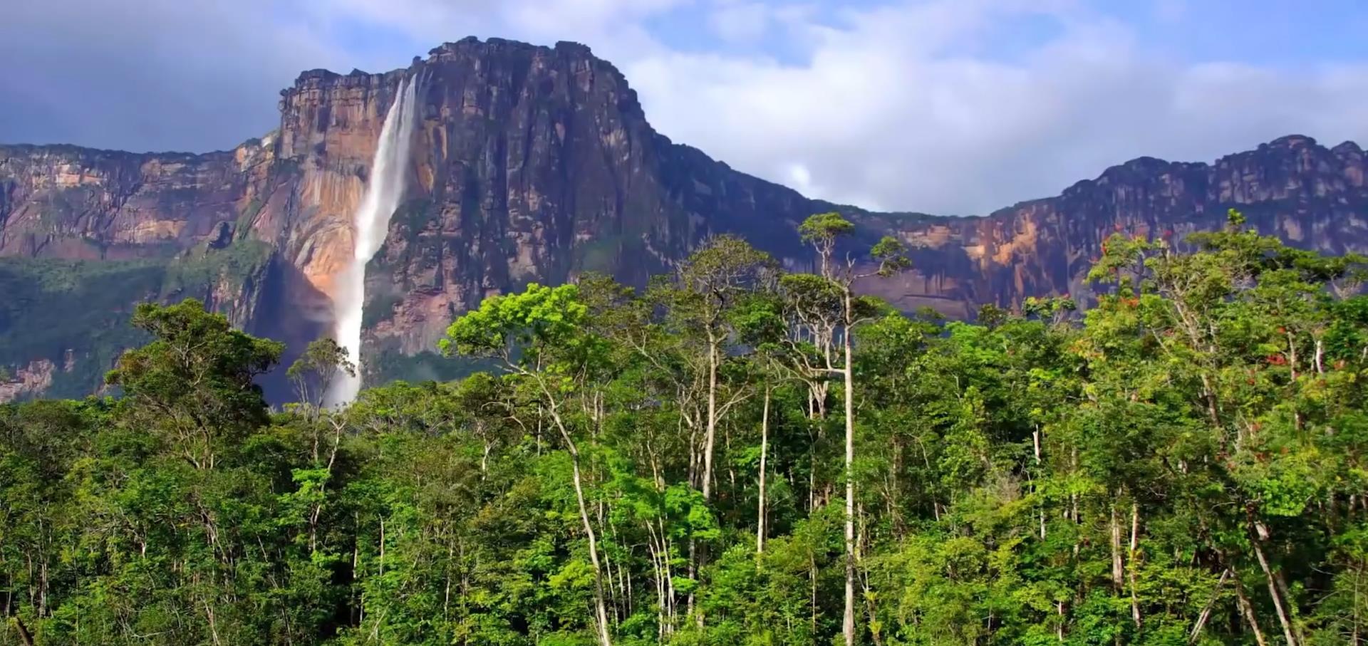 亚马孙热带雨林|“地球之肺”亚马逊雨林，为什么是人类禁区？到底有多恐怖？