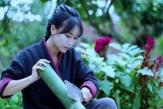 盛夜霄的星座解说 彻底“撕破脸”了，“最惨打工人”的李子柒，刚刚出手反击资本