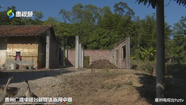 天津市|惠州：一间老屋 两本土地使用证？产权究竟归谁？