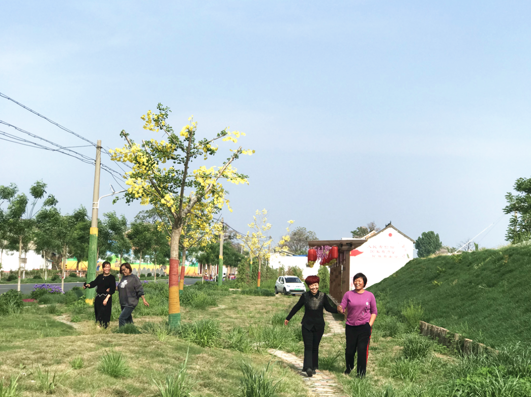 孟州广播电视台 孟州：铺就“四好农村路”，擘画乡村振兴图