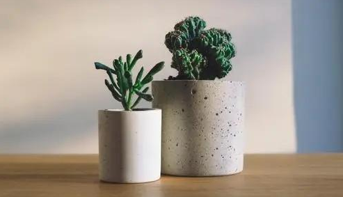 小海豚吖|想要对双子座说一句话，就算不被别人理解，也要独自灿烂