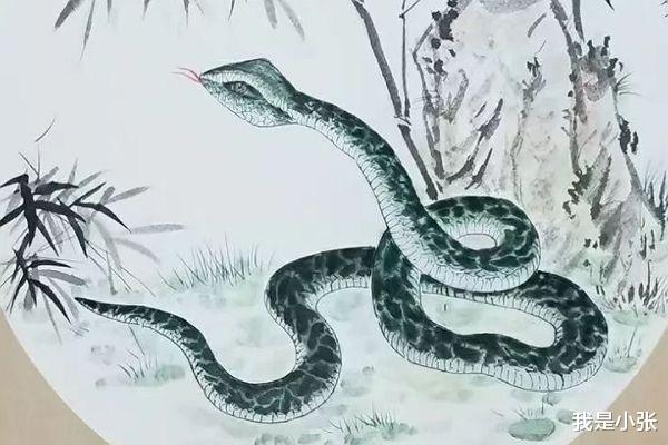 我是小张 30岁开始，3大生肖运势大好，财运上涨，事业家庭双丰收，未来前景大好