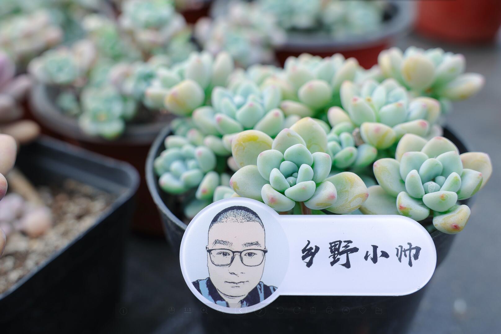 乡野小帅 肉肉度夏困难？听小帅告诉你度夏可以这样做