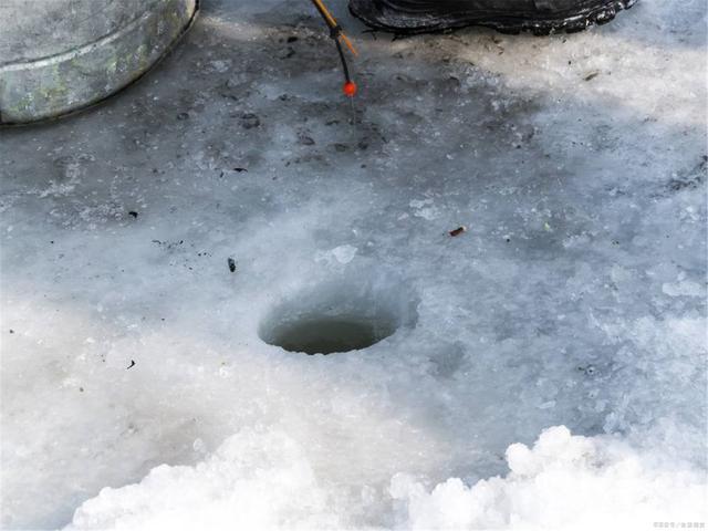 |不打窝，诱鱼聚鱼都很快，这两种钓法，冬天野钓效果会更好