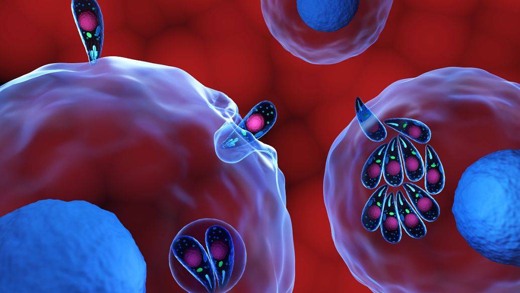 临床研究发现,干细胞外泌体在再生医学中的研究应用具有重要意义