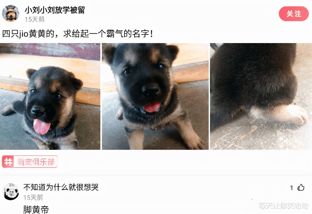 神回复|神回复：发现一个规律，娱乐圈名字带波的人，好像都不走运呢？