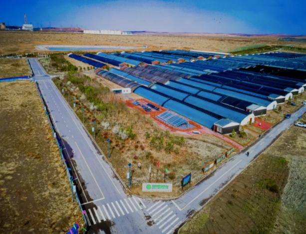 全国能源信息平台 走现场｜探访中东部首个高温地热发电项目