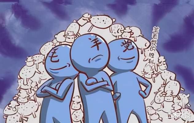 农银|在币圈，他们把羊毛撸成投资，真绝了