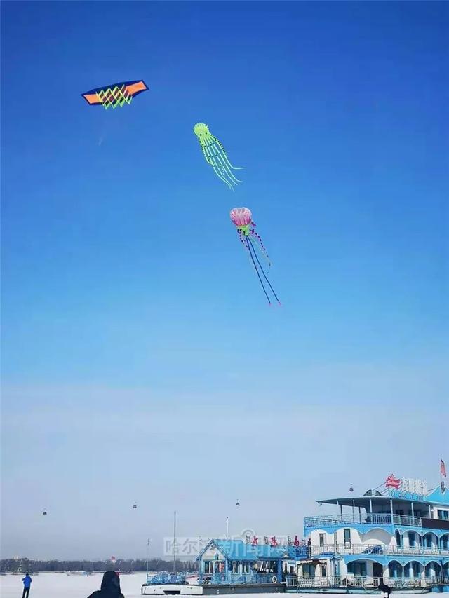 哈尔滨新闻网 明日冲0℃，还有雪｜你家阳台上冻的年货还有救吗