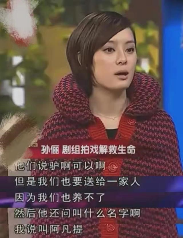 当家主母|猫不是毒死是电死！《当家主母》已经报案：网友不买账