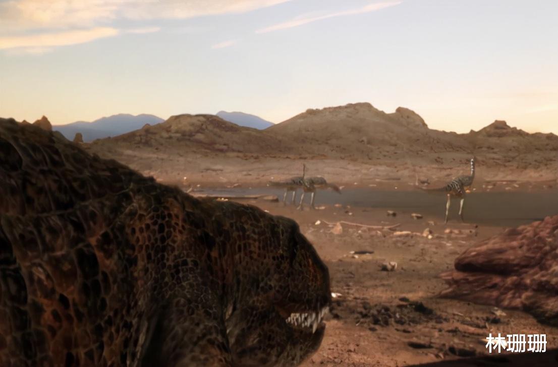 群星|动物广翅鲎：专吃海洋“浮尸”，4亿年前最先登陆地面的动物