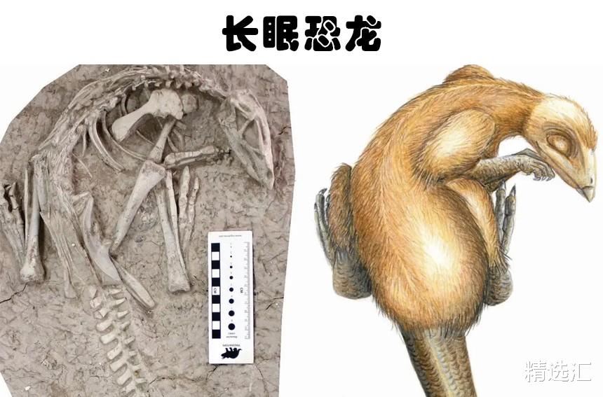 洞穴里也生活着恐龙?如今已被人类发现的5种奇怪的史前生物
