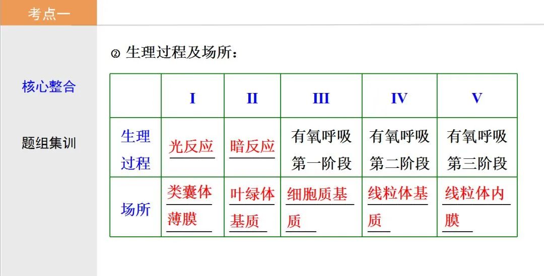 初中生物：光合作用与细胞呼吸知识点详解，快保存！