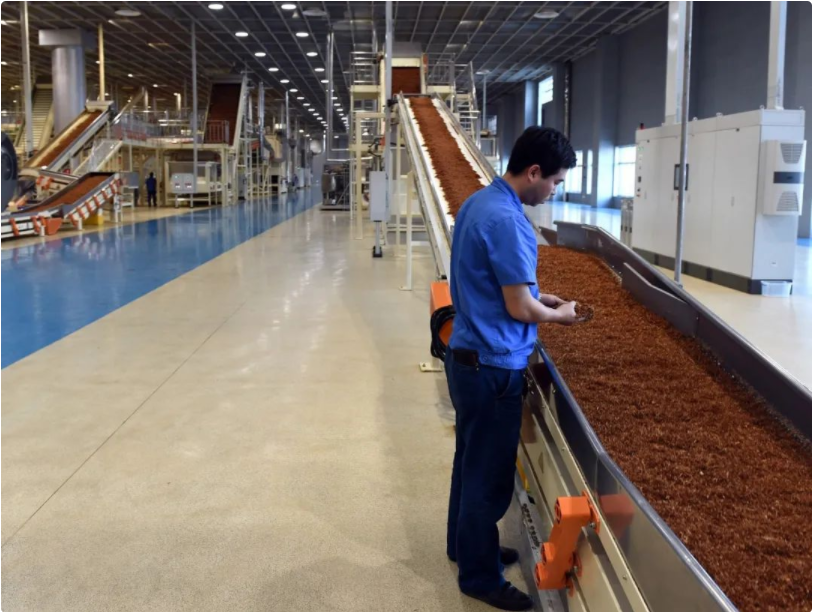 求职|名校毕业生进卷烟厂当流水线工人，其中不乏研究生，书白读了吗