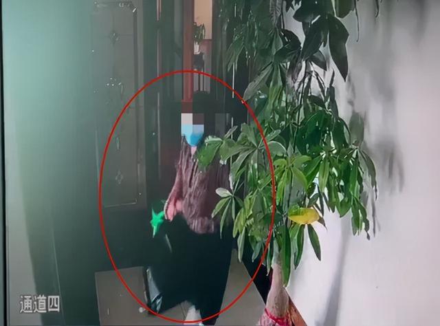 贵州茅台|光天化日，老板办公室里价值10万多的茅台酒竟不翼而飞