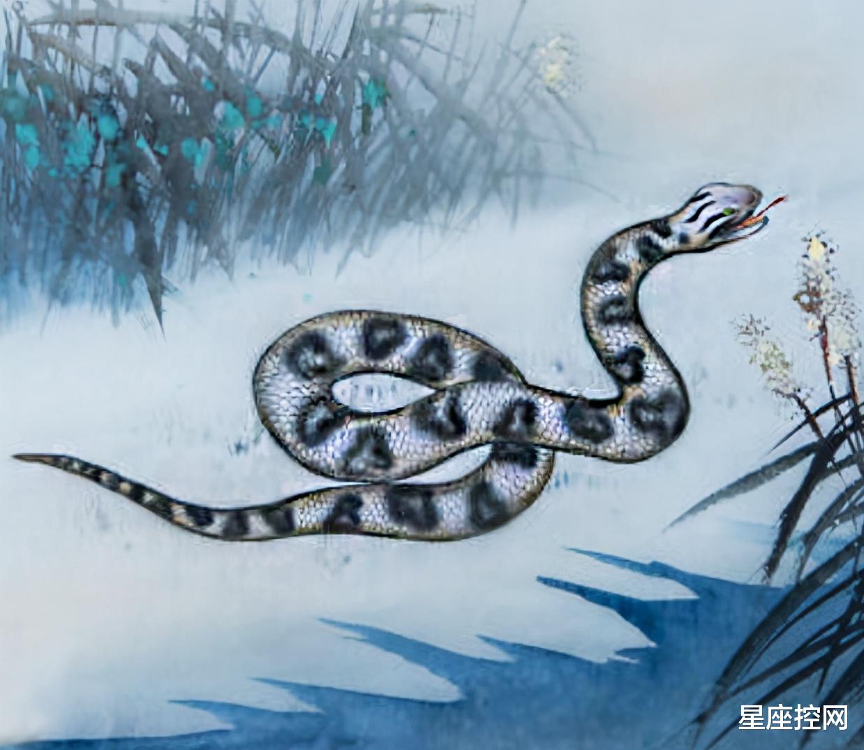 生肖|2021年过半，前有贵人，后有机遇，运势三百六十度翻身的生肖