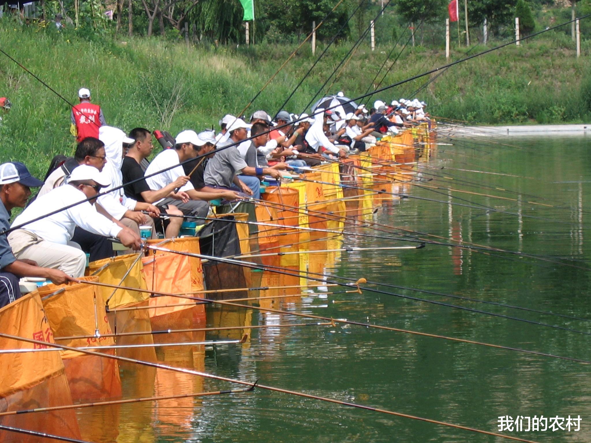 安徽|盛夏钓鱼没口怎么办？只需这几招，鱼儿排队进窝，轻松爆护