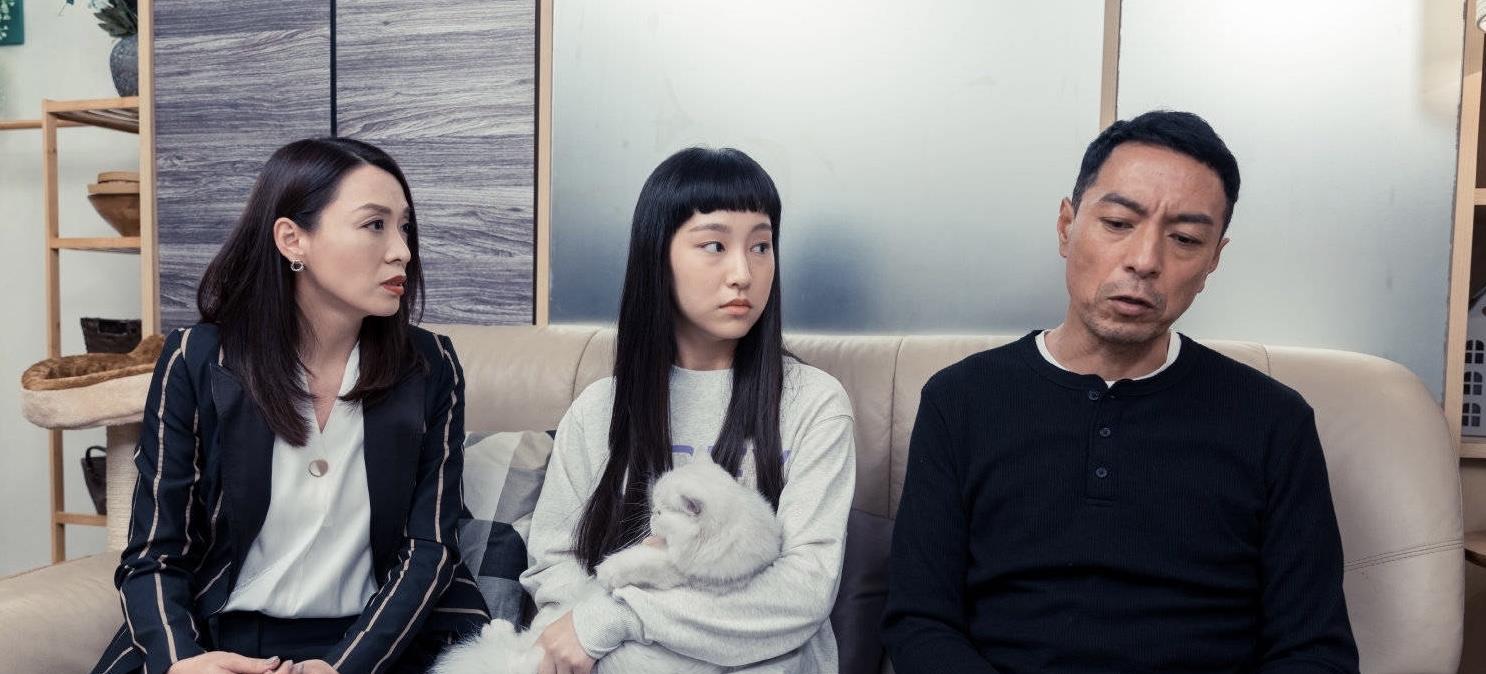 |比台庆剧更有看头，TVB12月待播剧题材吸引，有望成为年度黑马