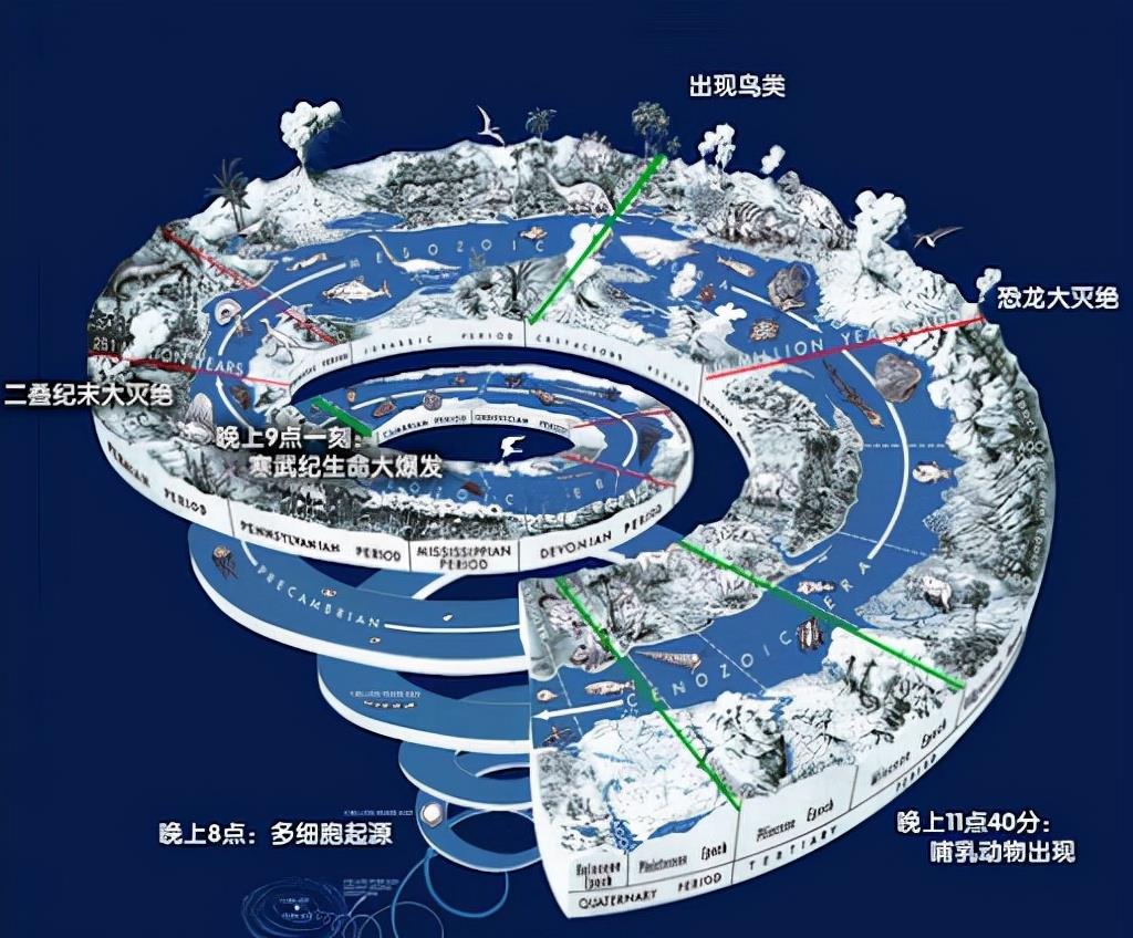科学家 硅基生命可能一直生存在宇宙中，比人类要强大，寿命很长