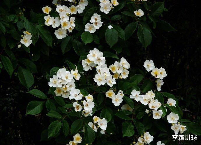 星座性格|看这些星座,很容易被误会的,其实他们的不是你们所看的表面