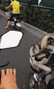 霸王龙 “霸王龙的后腿那么粗壮,前爪那么迷你有什么用呢?”