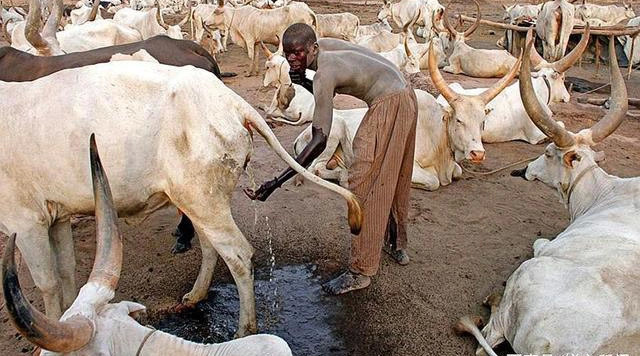 微趣图|42张“无比倒霉”的图片,看完原谅我不厚道的笑了……