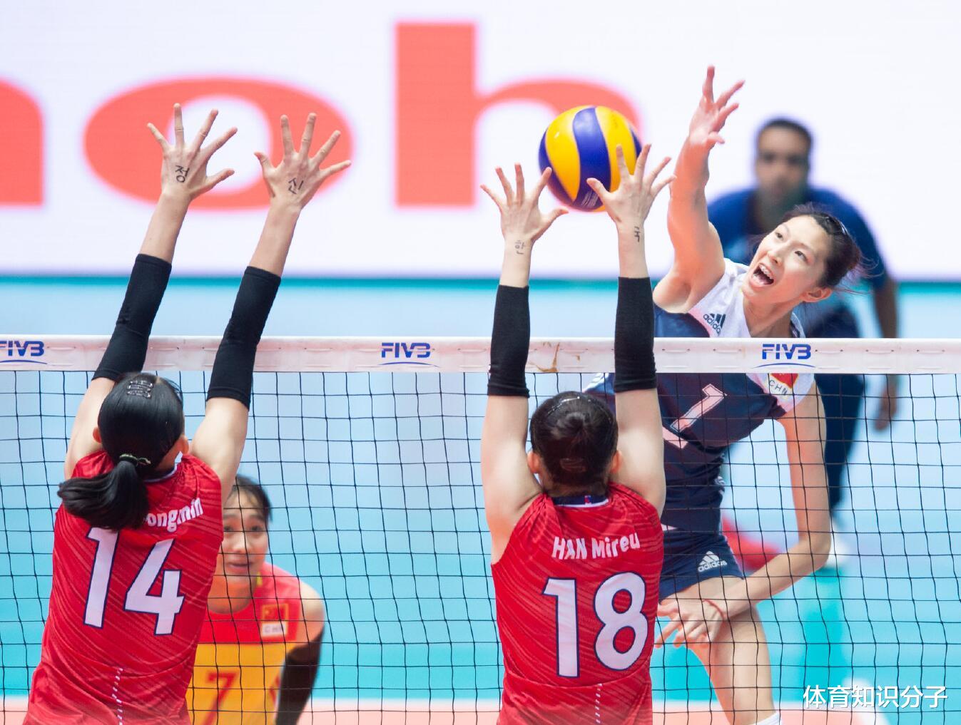 朱婷|5朵金花将同球迷惜别！女排阵容迎来大换血，5大新星将联手朱婷