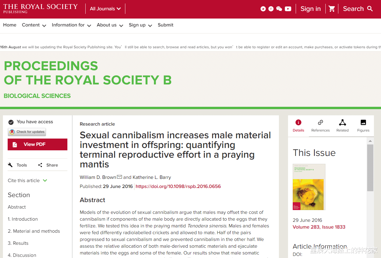 昆虫 螳螂交配后:“新娘”为何吃掉“新郎官”?新娘:这全是为它好!