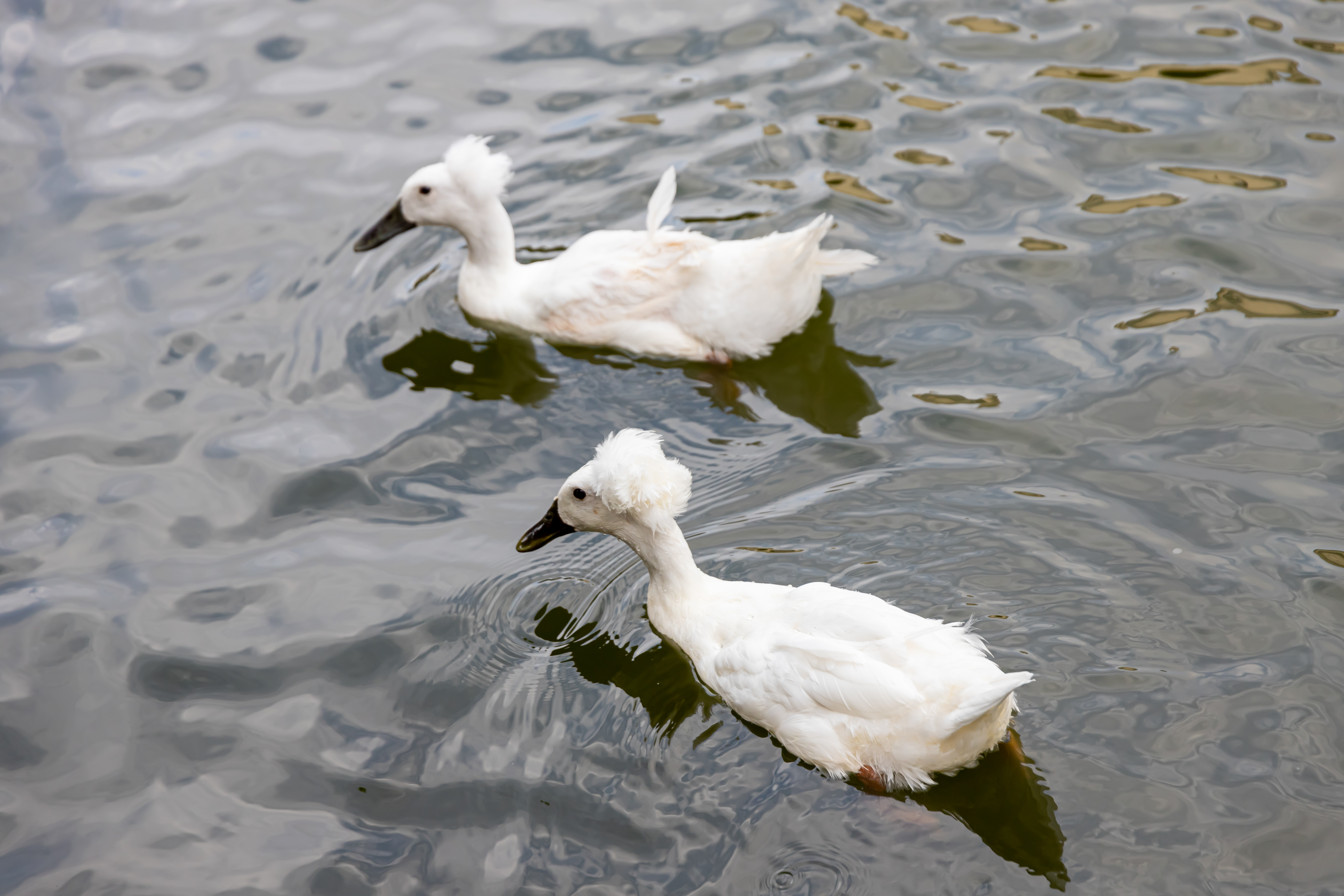 凝妈悟语|儿子带我去南京玩2天，归来，用50张照片，告诉你孩子旅行的意义