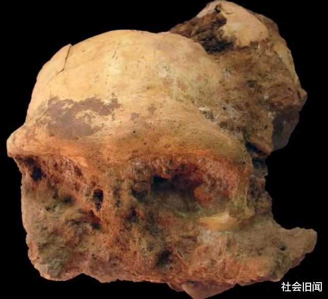 美国专家推测:人类其实是外星人,数十万年前从外星移民到地球定居