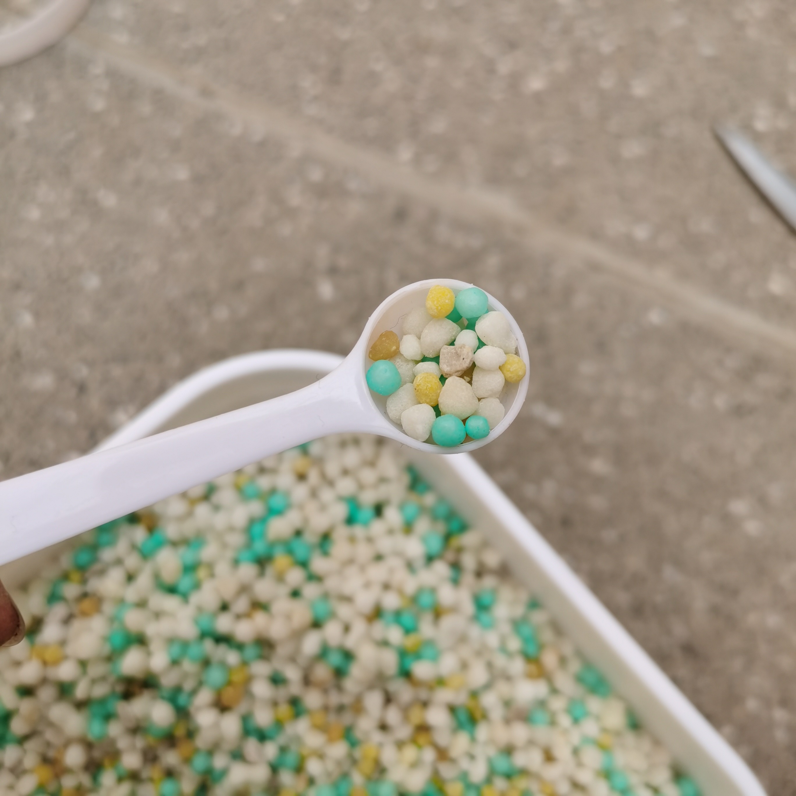 老年小妙招|迷人的露台花园设计，学会这6个造园小窍门，回家自己建一个