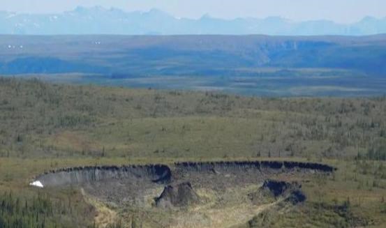 科学家 北极出现48度的高温，动物面临危险，一切难以回头