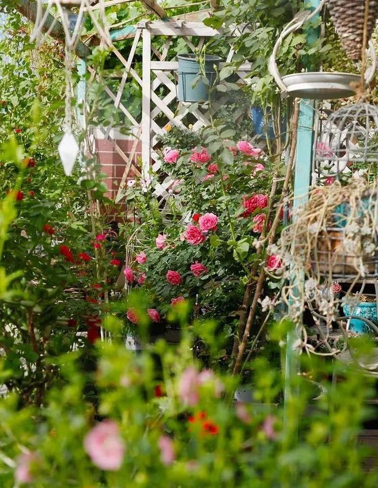 为了建花园，买了个带40㎡露台的顶楼房，入住四年如今美成了画